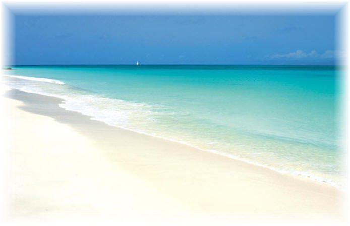 [Antigua+Beach.jpg]