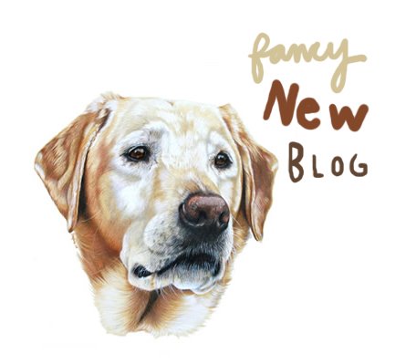 [fancy+new+blog.jpg]