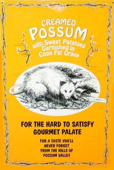 [possum.jpg]