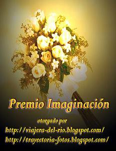 Premio "IMAGINACION"