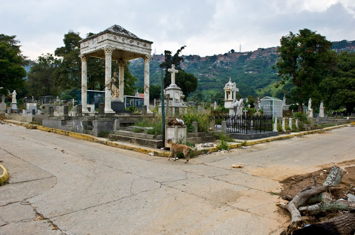 [Cementerio-del-Sur-1.jpg]