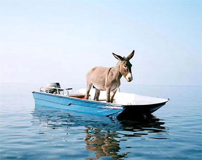 [funny-donkey-in-boat.jpg]