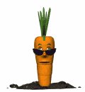 [carrot.bmp]