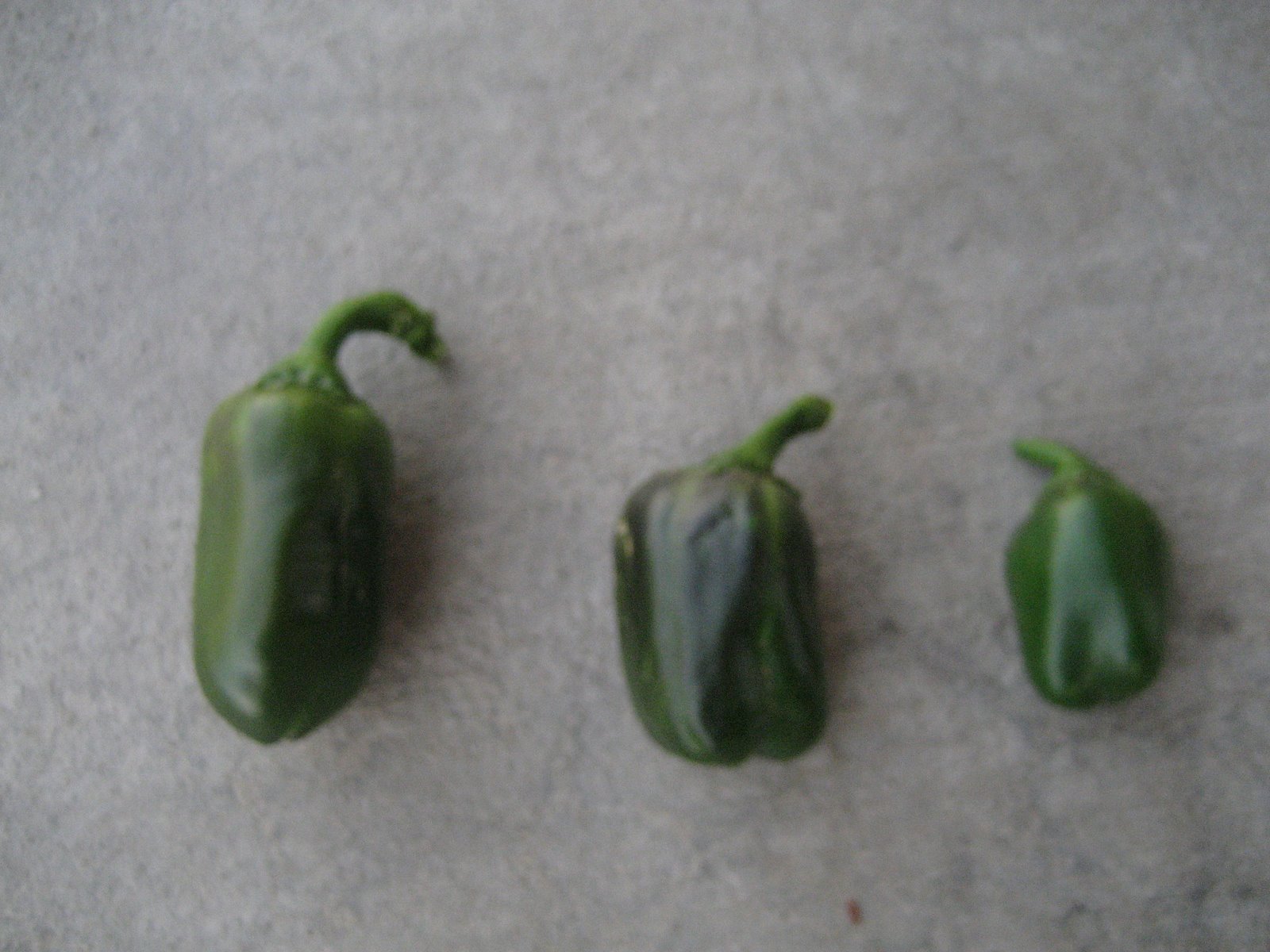 [green+bell+peppers+006.jpg]