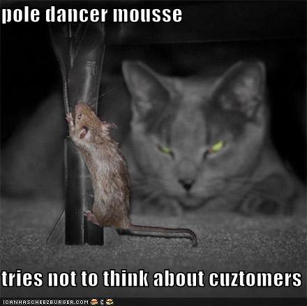 [funny-pictures-pole-dancer-mouse-watching-cat.jpeg]