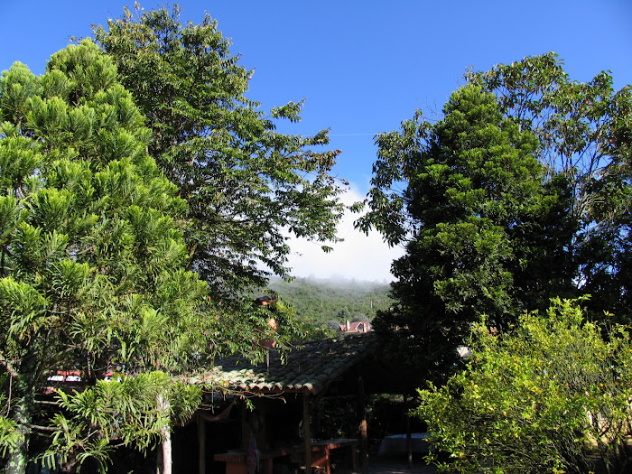 Cerro La Conejera