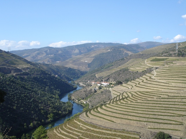 [Douro-Out2007+117.jpg]