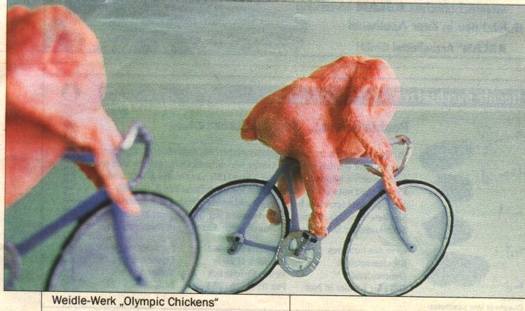 [chicken+bike.bmp]