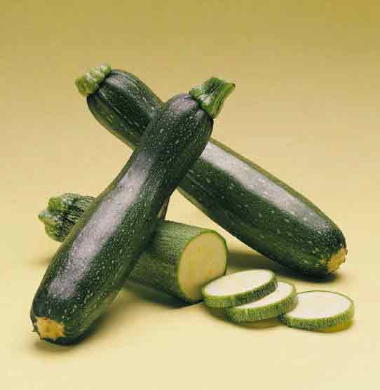 [courgettes2.jpg]