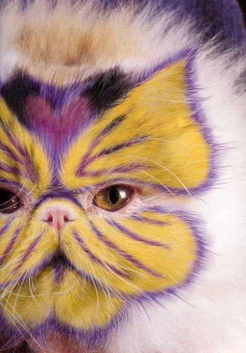 [painted_cats_007.jpg]