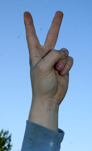 [Peace+Sign+-+Andy.jpg]
