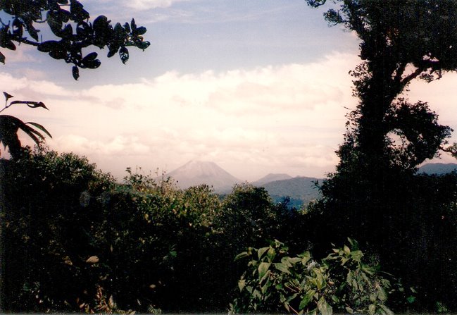 [Monteverde.jpg]