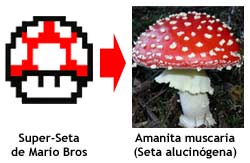[super_mario_mushroom.jpg]