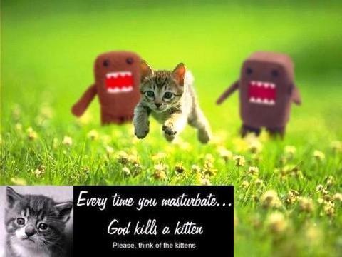 [kittenkiller-6863.jpg]