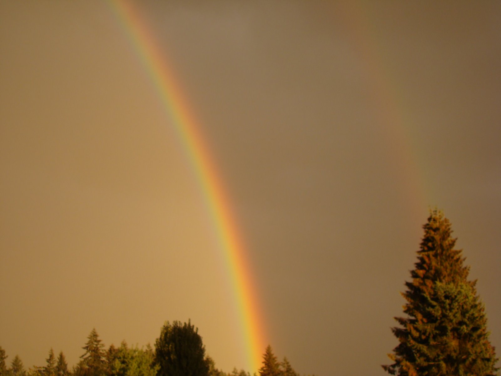 [double+rainbow.jpg]