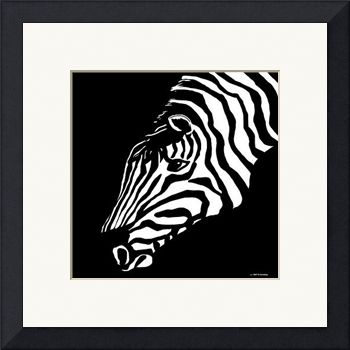 [frame-zebra.jpg]