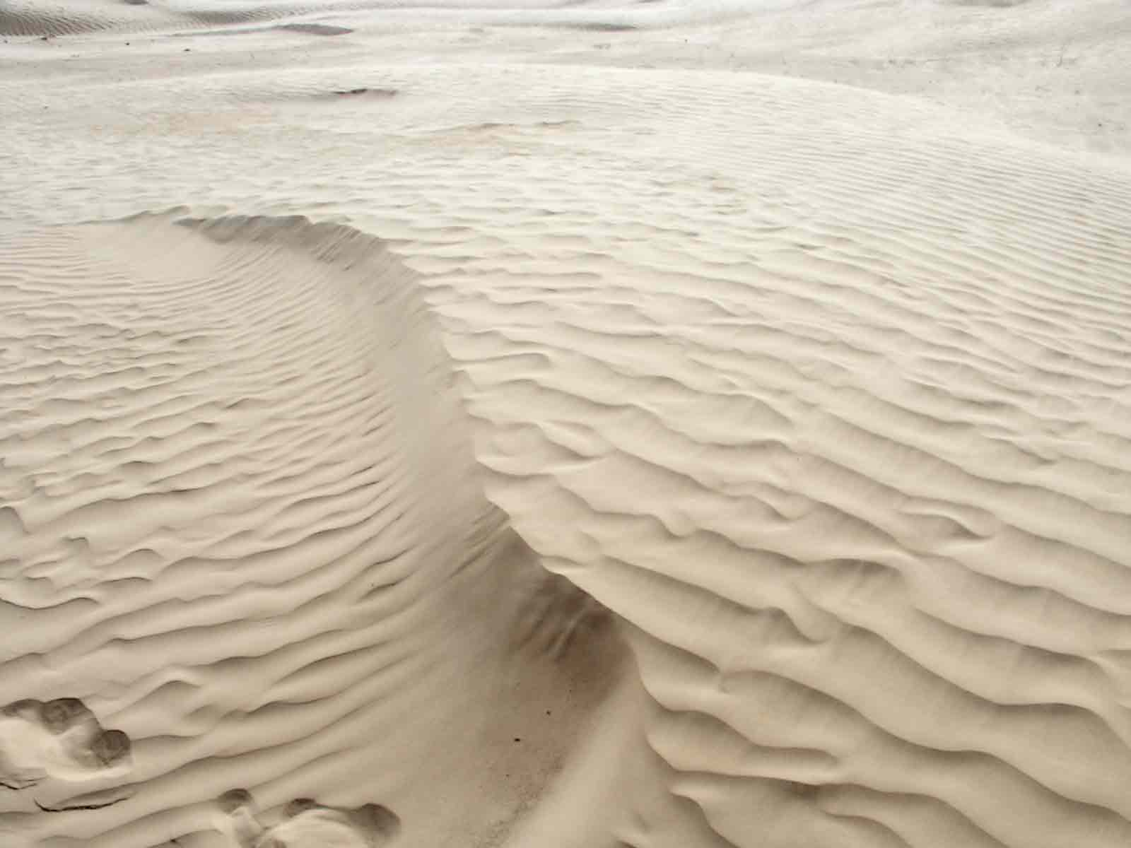 [sabbia+del+deserto.jpg]
