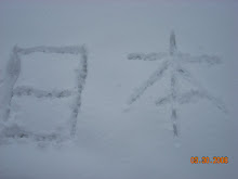 Writing in the Snow