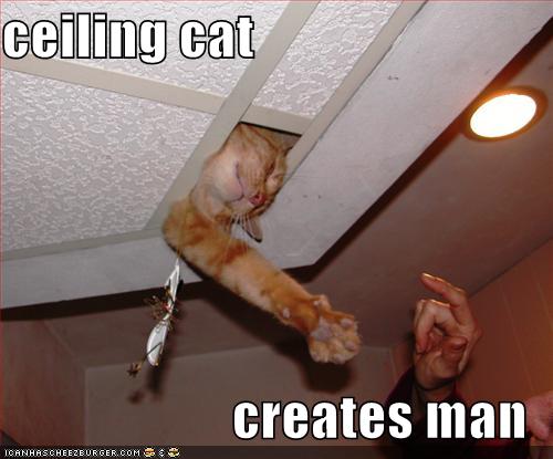 [funny-pictures-ceiling-cat-creates-man.jpg]