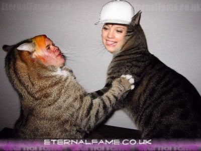 IMAGE: Lily Allen Perez Hilton catfight