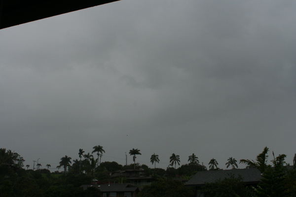 [rainy+day.jpg]