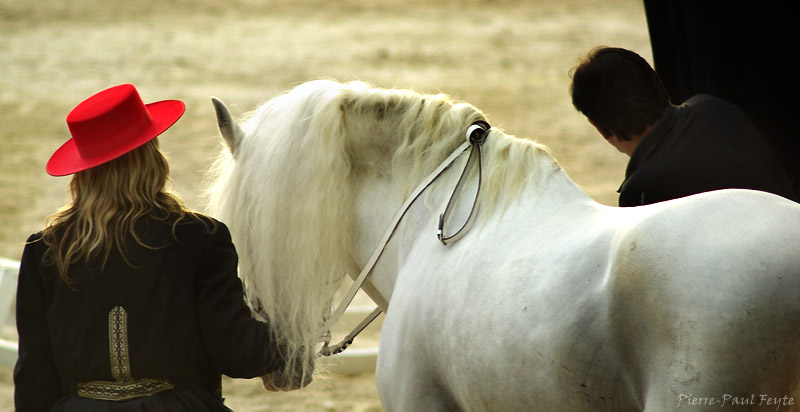 [Equestria2007-10-800.jpg]