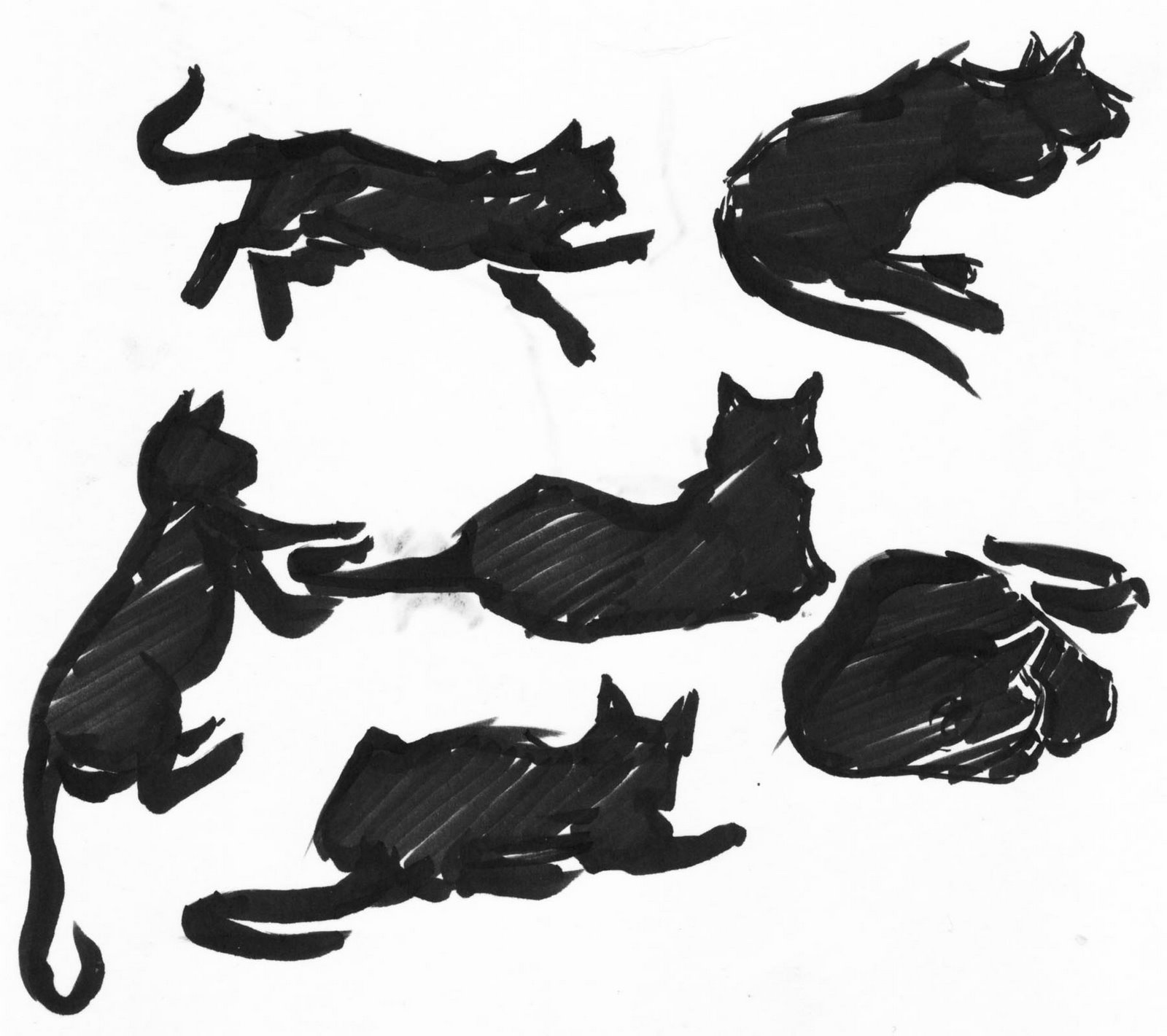 [cats.jpg]