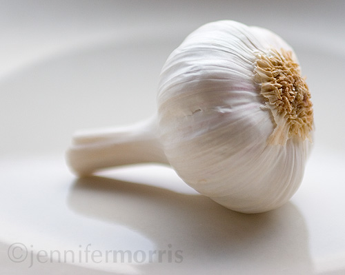 [Garlic+behind.jpg]