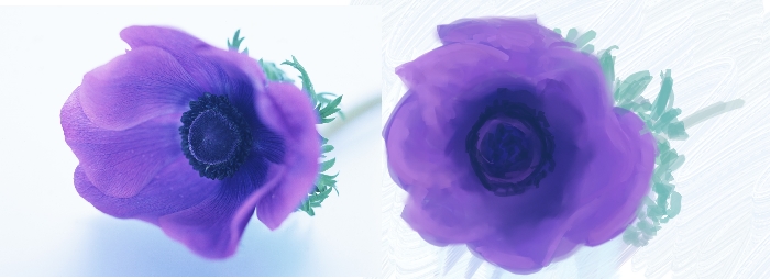 [flower+color+test+2.jpg]
