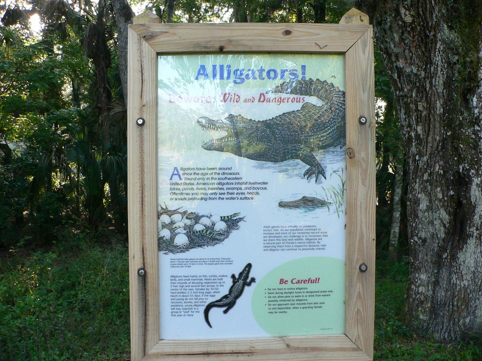 [alligator+warning+sign.JPG]