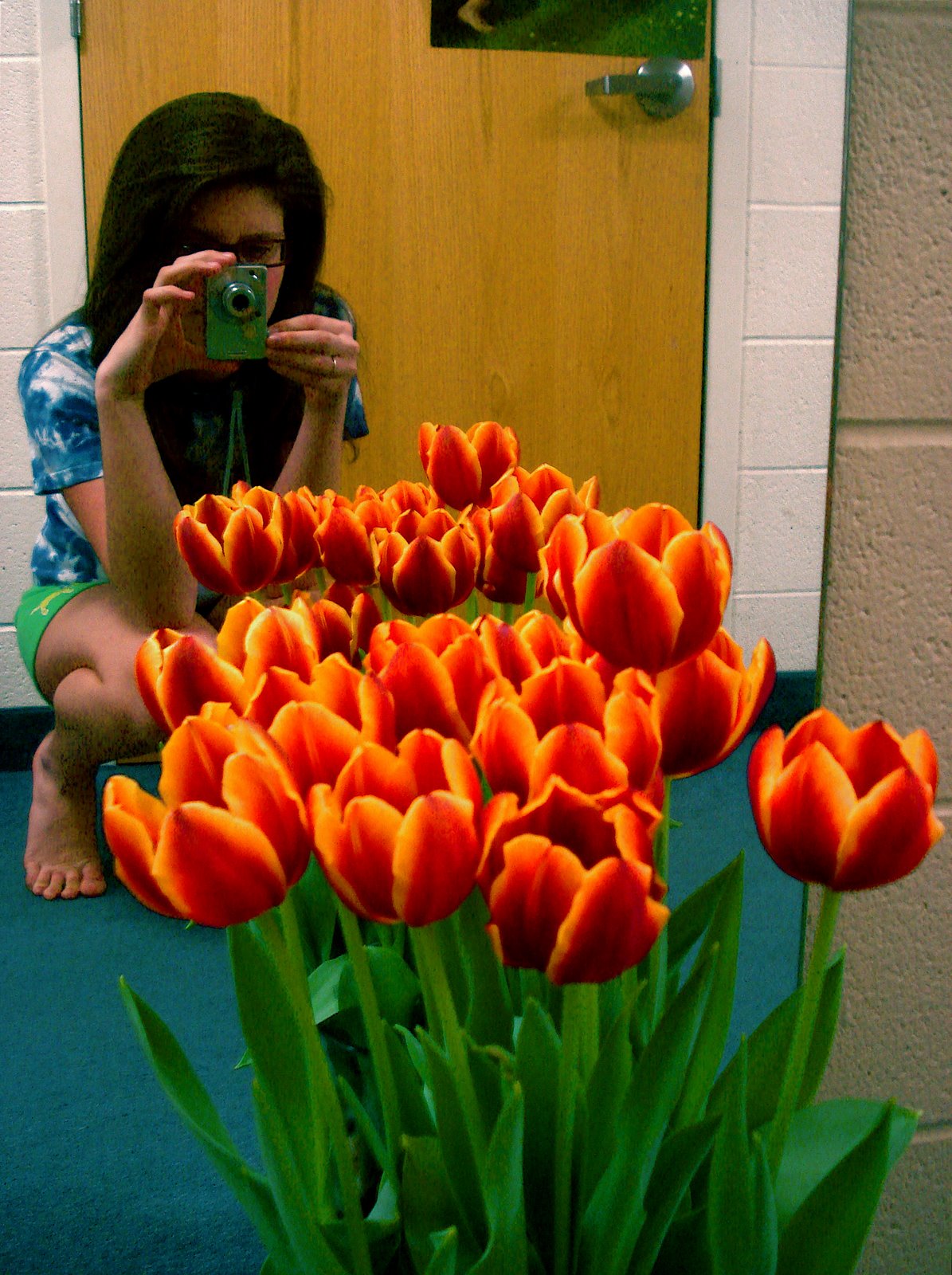 [tulips.JPG]