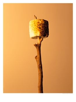 [382590~Roasted-Marshmallow-on-a-Stick-Posters.jpg]