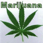 [Marijuana.bmp]