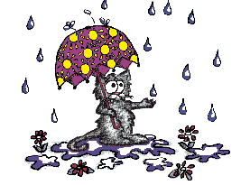 [cat-rain.gif]