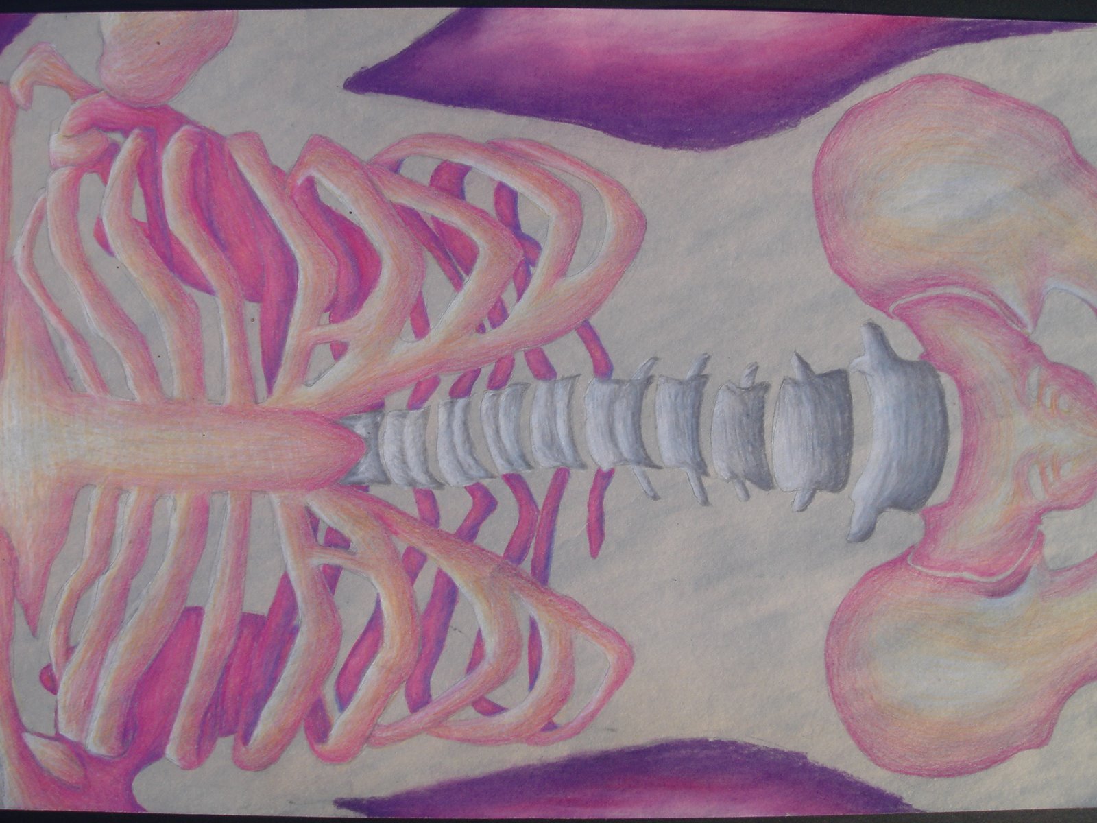 [Colored+Pencil+and+Colored+Chalk+Pastel+14x24.JPG]