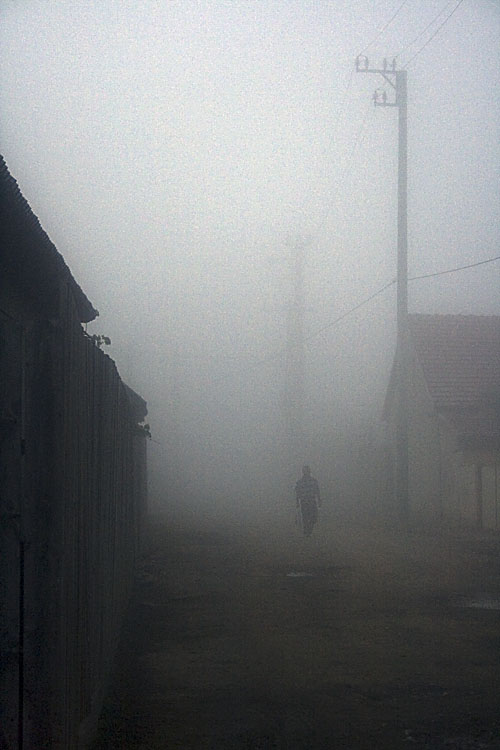 alone in the mist