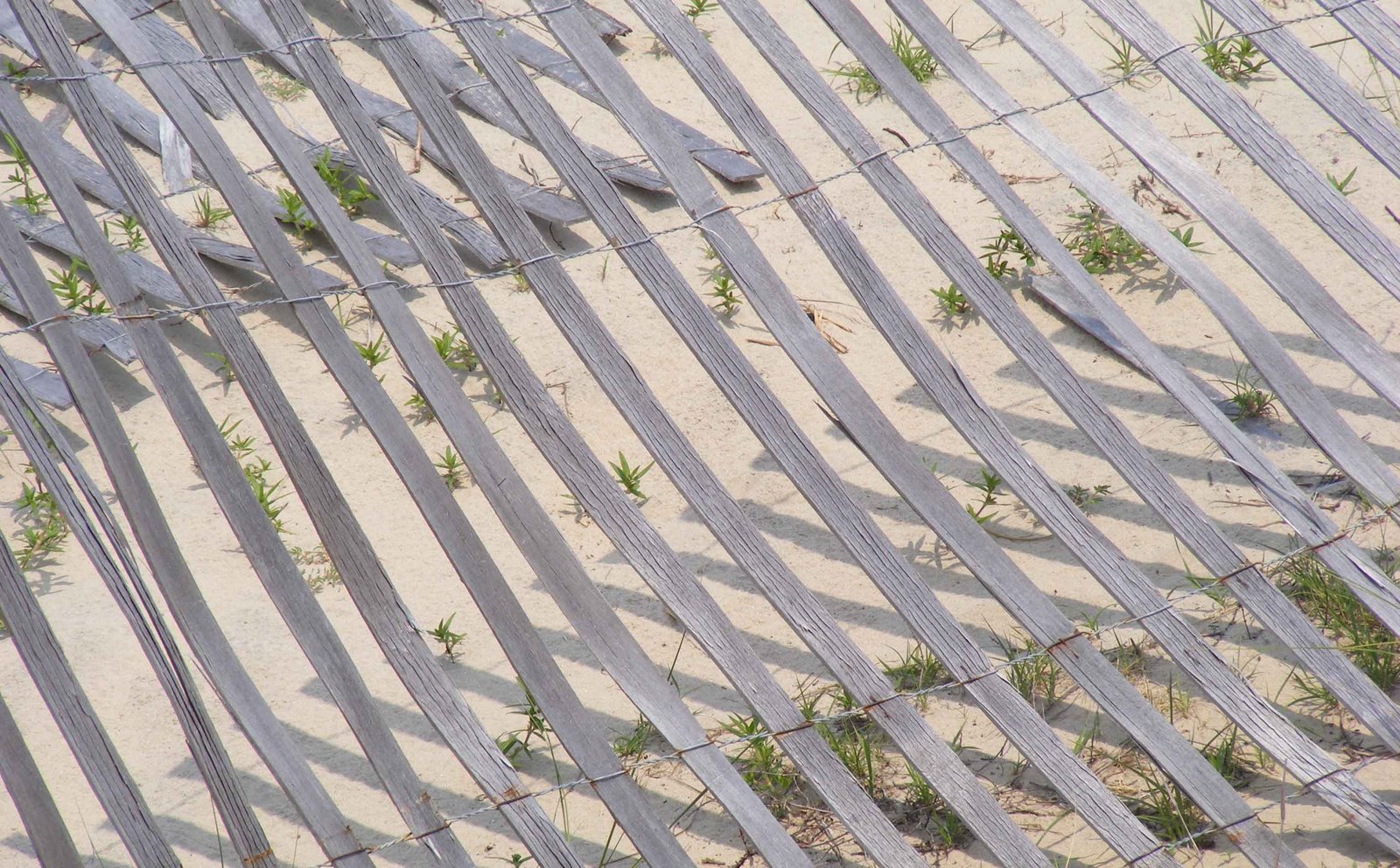 [Design+aspect+of+dune+fence.jpg]