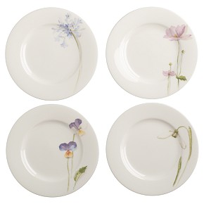 [spring+plates.jpg]