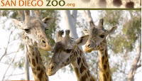 San Diego Zoo coupon
