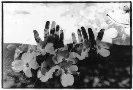 [handsflowers.jpg]
