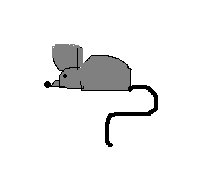 [mouse.bmp]