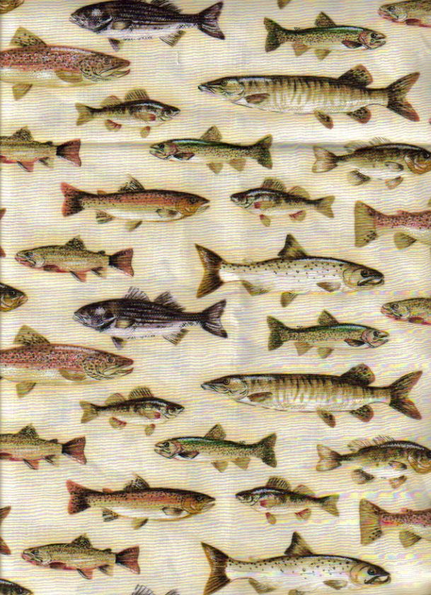 [fish+fabric.jpg]