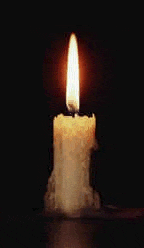 [candle24bo.gif]