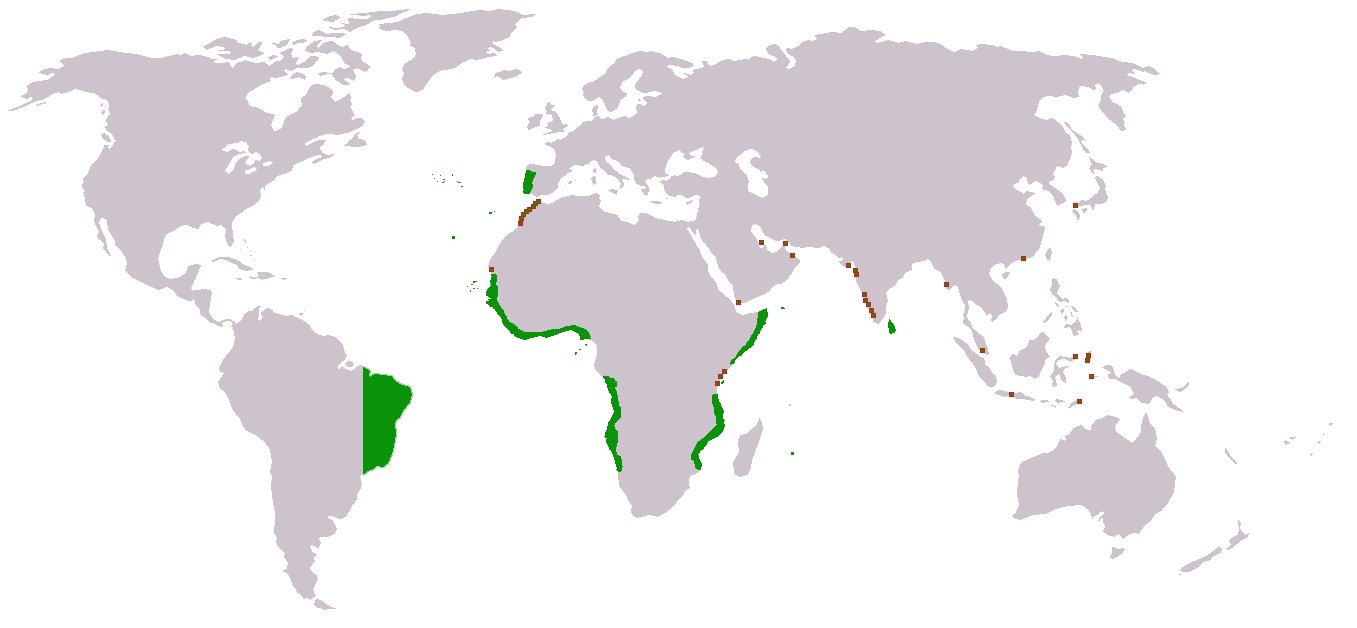 [Portuguese_Empire_map+-+Joao+III.jpg]