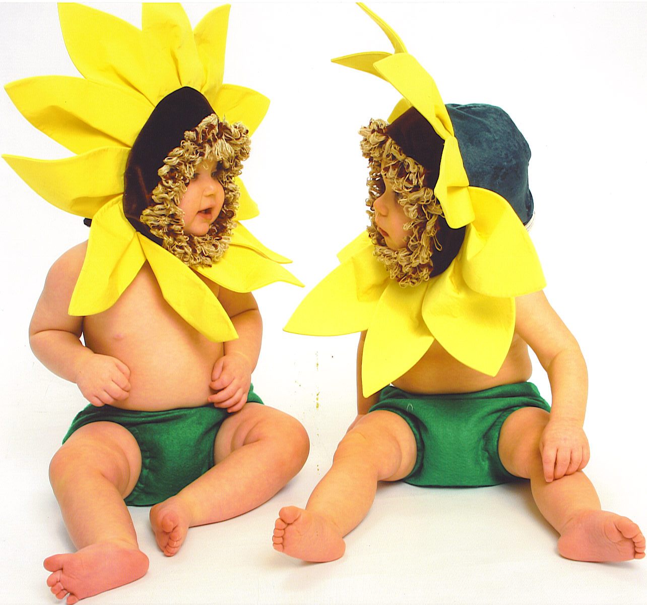 [sunflower+twins+looking+at+each+other2-08.jpg]
