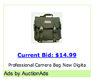 [auction-ad.png]