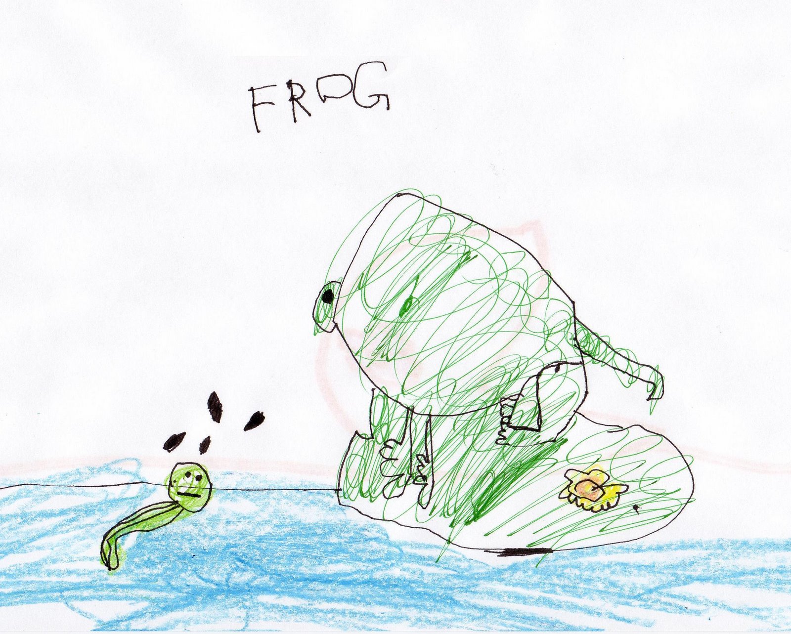 [Frog.jpg]