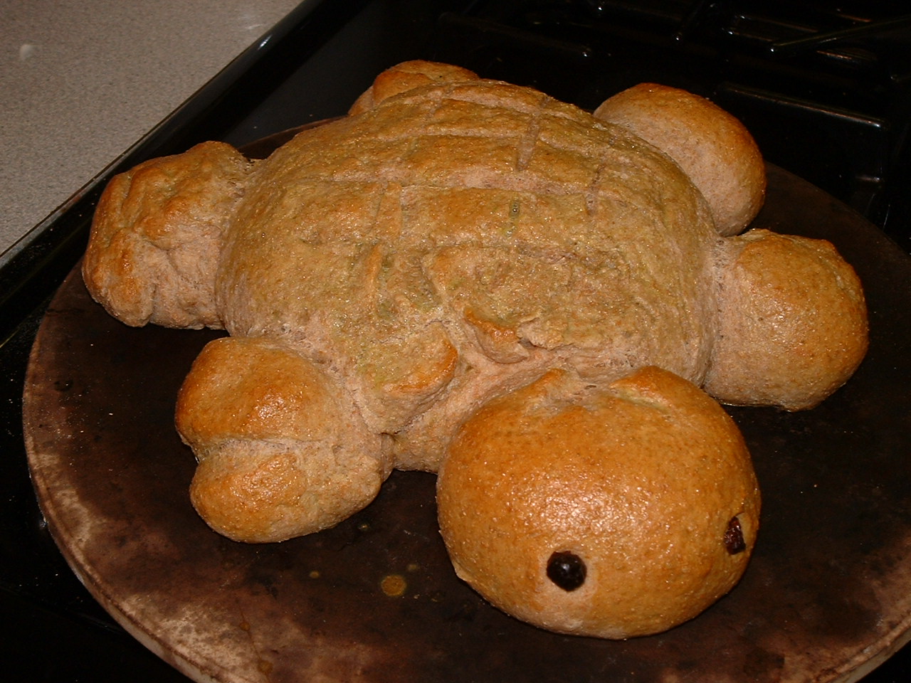 [turtle+bread+march+010.jpg]