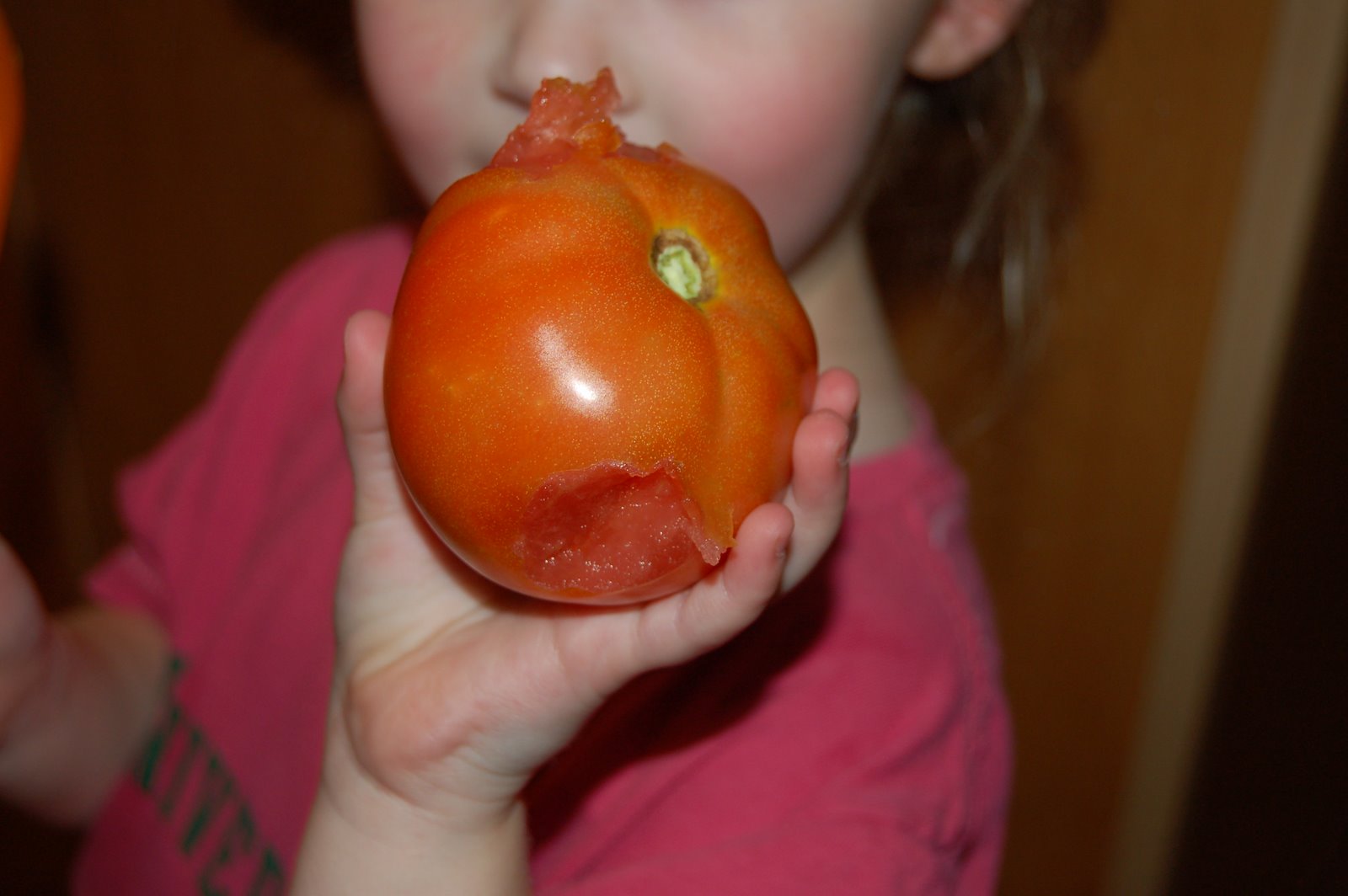 [First+Tomato+from+Garden+Jul08+007.jpg]