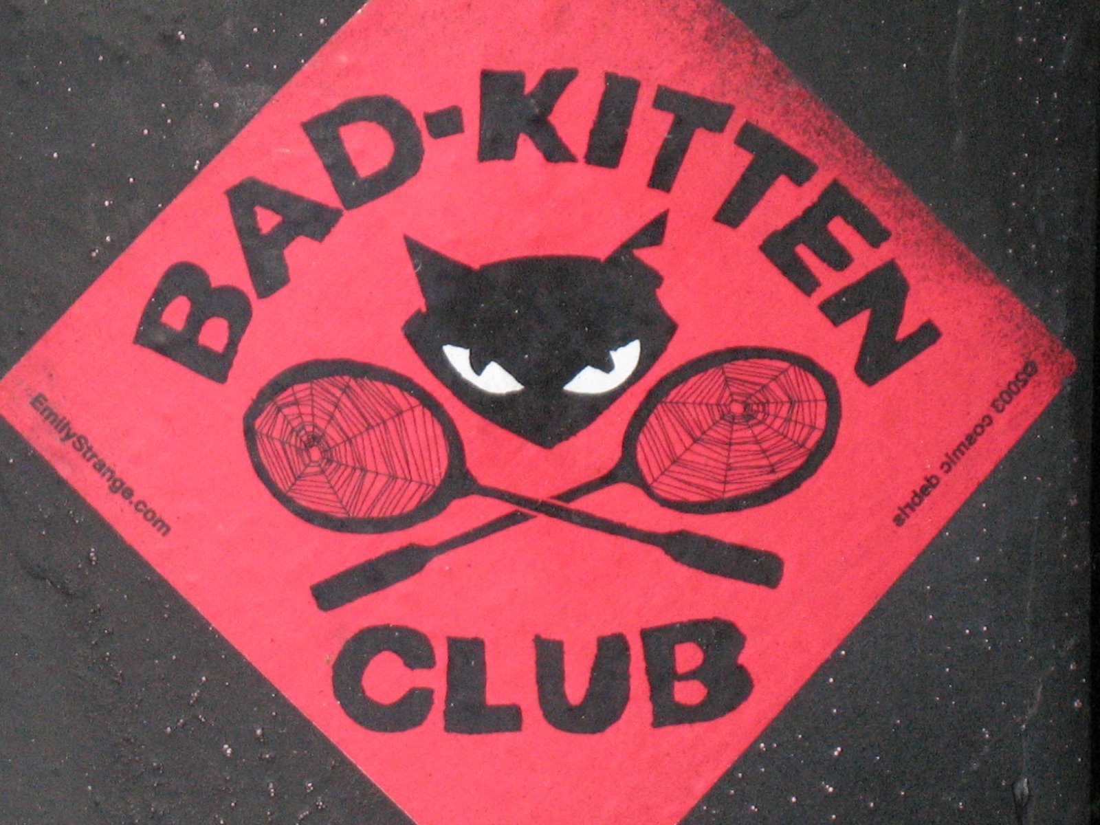 [bad+kitten+2.jpg]